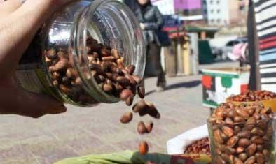 Зөвшөөрөлгүй самар түүгчдийг ойгоос буулгажээ