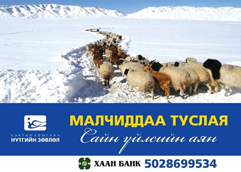 Малчиддаа туслая аян өрнөж байна