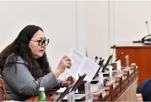 Цахилгаан дугуй, скүүтерийн хэрэглээг зохицуулах хуулийн төсөлд иргэдийн саналыг авч эхэллээ