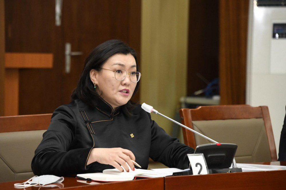 А.Ариунзаяа: УИХ-ын гишүүд дагаж савчаад, мэдэгдэл хийгээд байх нь буруу болов уу гэж бодож байна