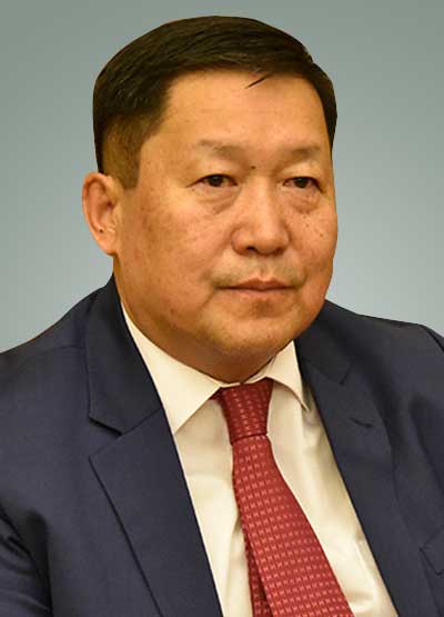 Н.Баяртсайхан